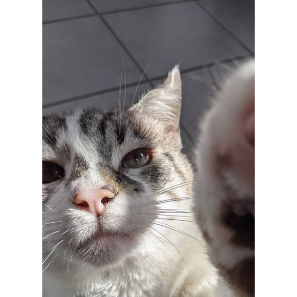 Meet Angie & Suki! - Picture 3 of 12